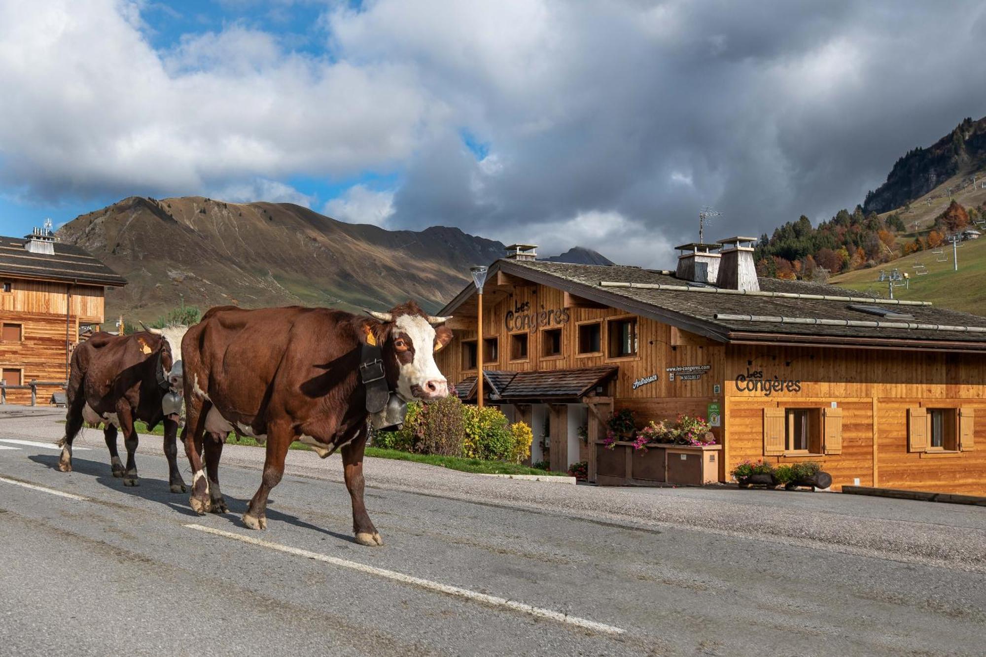 Les Congeres Villa Le Grand-Bornand Phòng bức ảnh